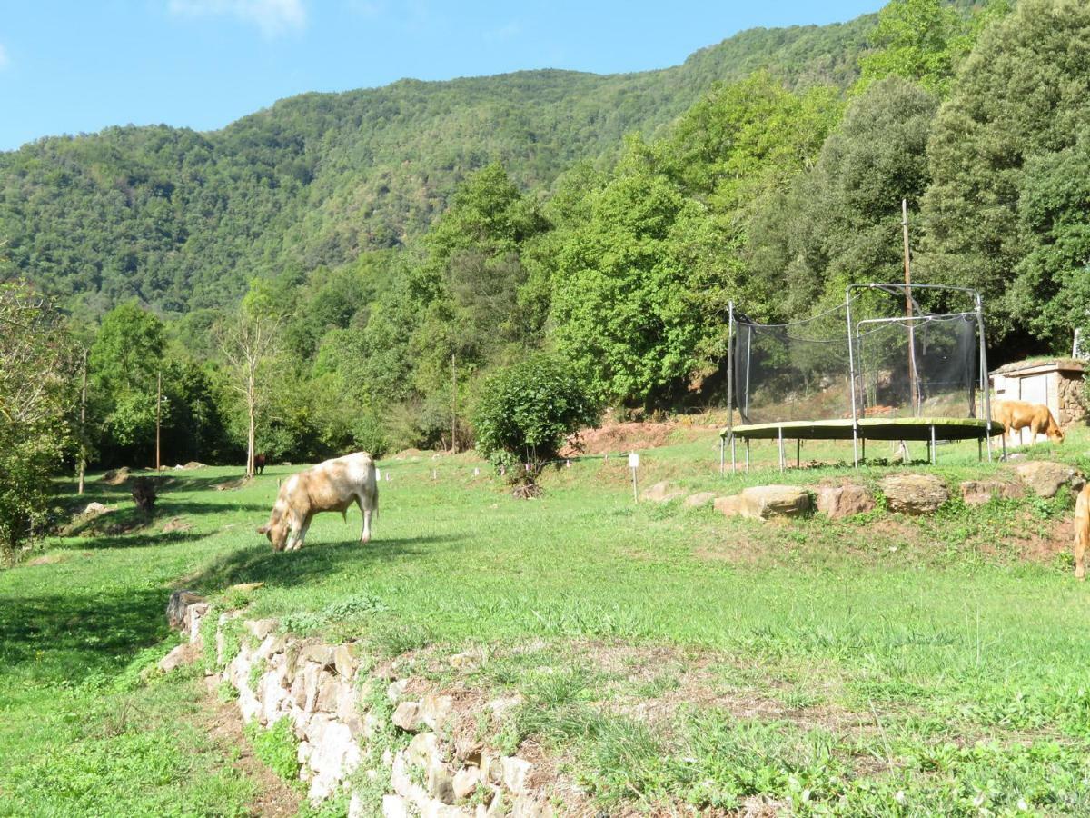 El Paller Del Moli De La Plana Riudaura Kültér fotó